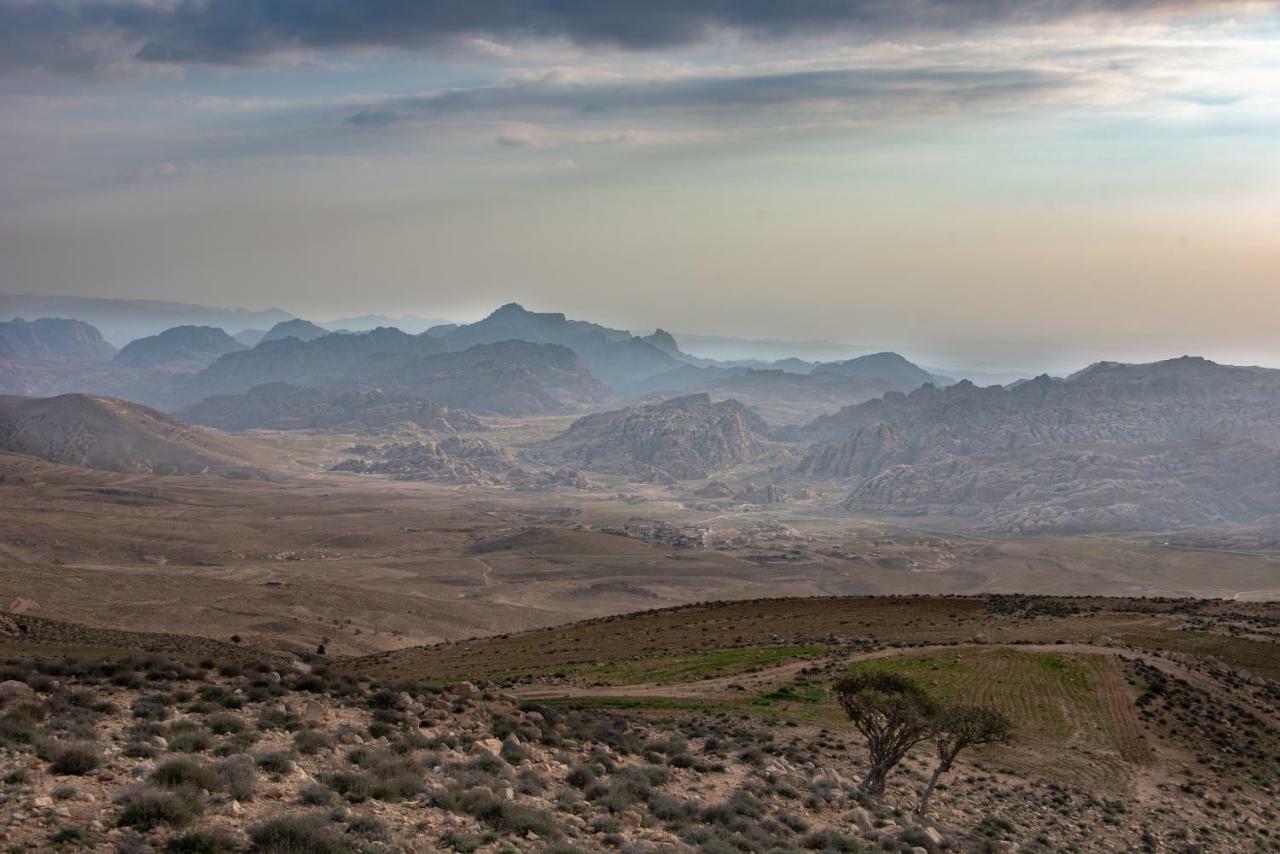 Bedouin Pink Ecohouse Bed and Breakfast Wadi Musa Buitenkant foto