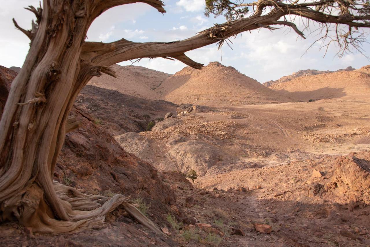 Bedouin Pink Ecohouse Bed and Breakfast Wadi Musa Buitenkant foto